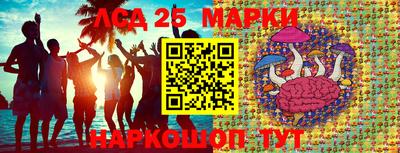 стафф Новодвинск