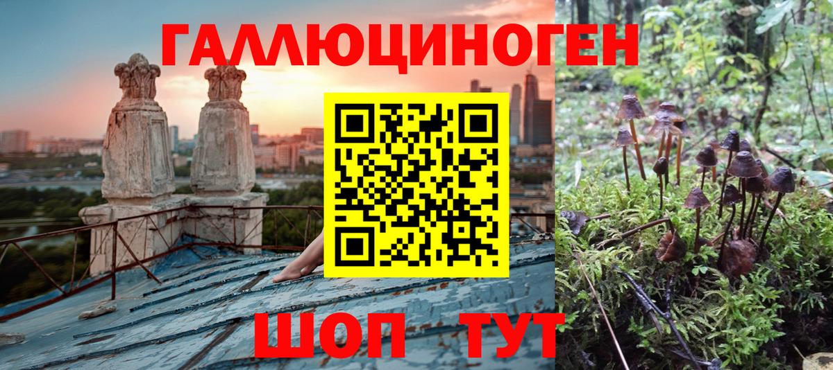 Галлюциногенные грибы мицелий Фролово